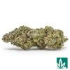Jack Herer