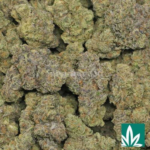 Lemonhead Strain - 2
