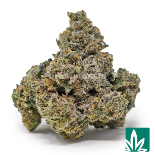Lemonhead Strain - 1
