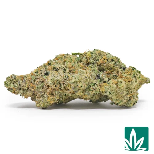 Lemon Squeeze Strain - 1