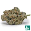 L'orange Strain - 1