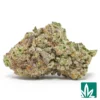 Miracle Alien Cookies Strain - 1