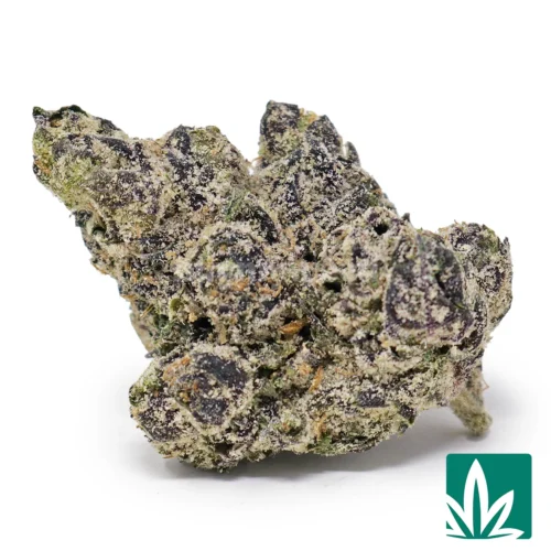 Mother of Berries Strain - 1