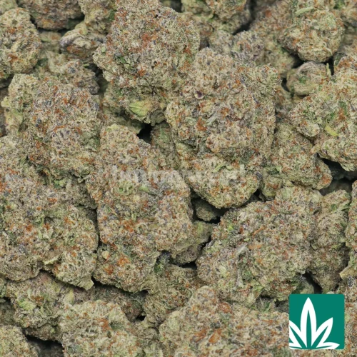 Mochi Supreme Strain - 2