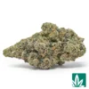Nightshade Strain - 1