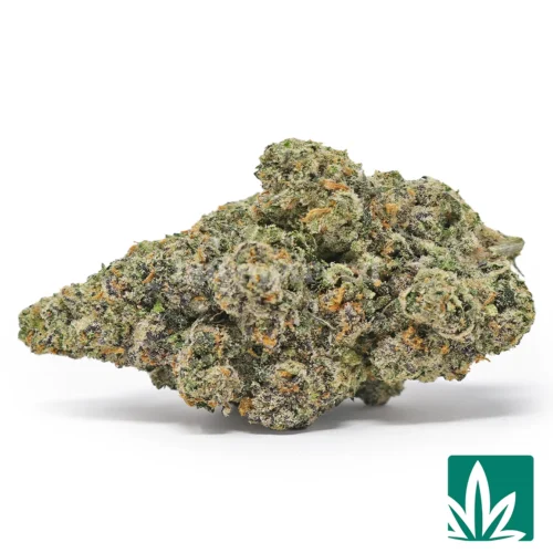 Nightshade Strain - 1