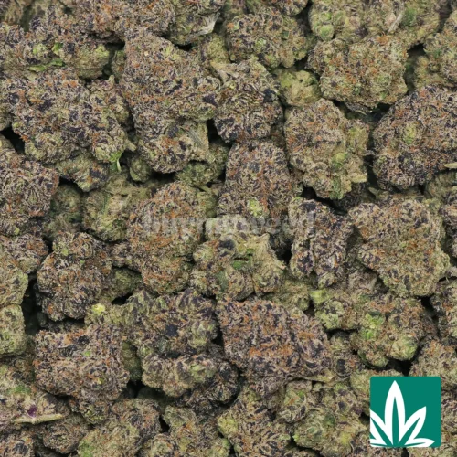 Pink Gummy Strain - 2