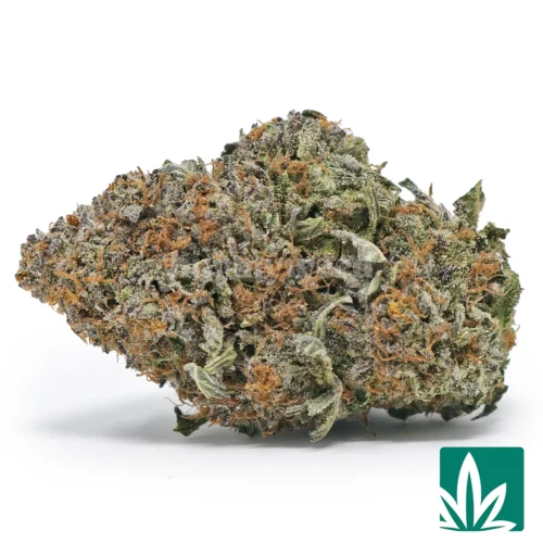 Platinum Kush Strain - 1