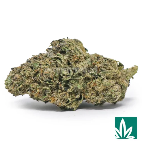 Prezy Runtz Strain - 1