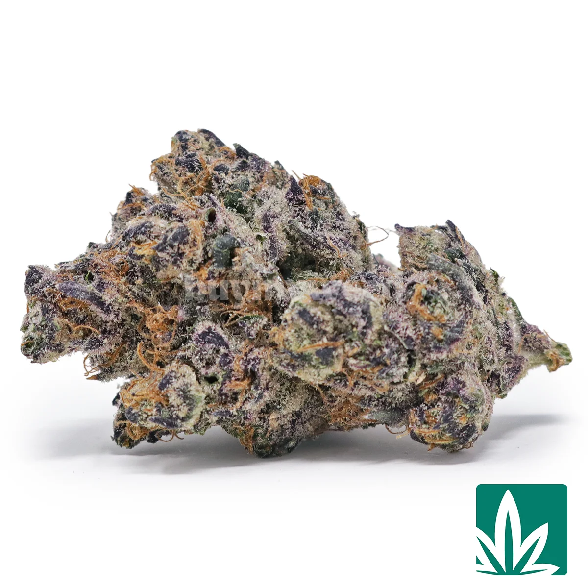 Tropicana Strain - 1