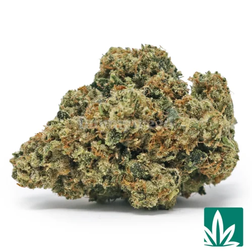 True OG Strain - 1