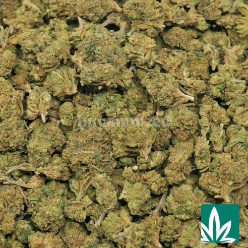 White Widow 'Smalls' Strain - 2