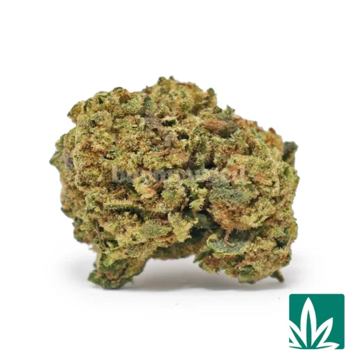White Widow 'Smalls' Strain - 1