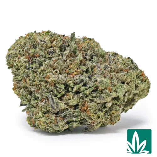 Black Ice Strain - 1