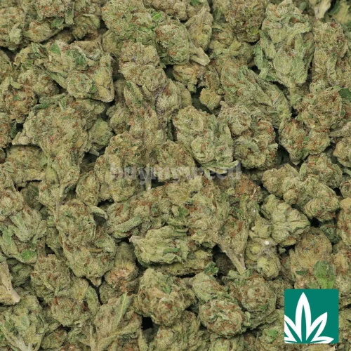 Black Runtz Strain - 2