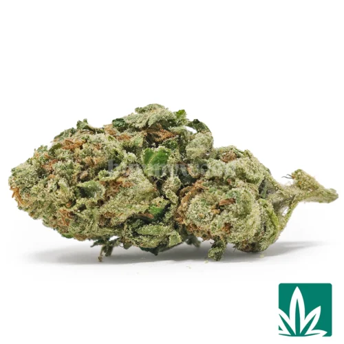Black Runtz Strain - 1