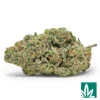 Blueberry Haze Strain - 1