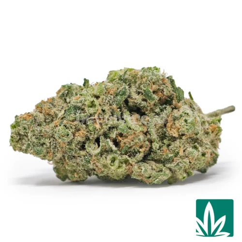 Blueberry Haze Strain - 1
