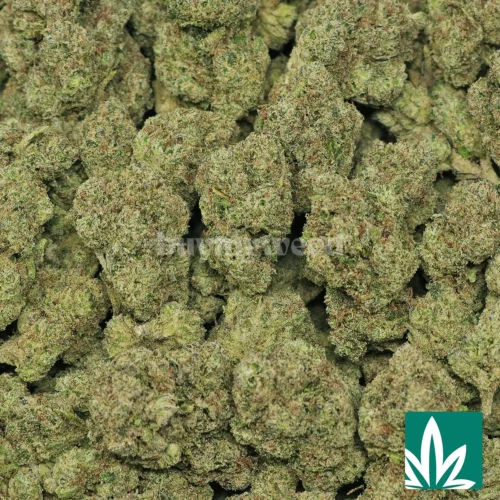 Bubbalicious Strain - 2