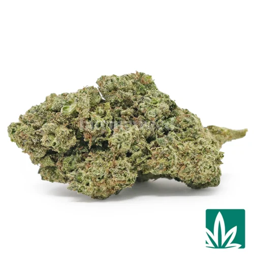 Bubbalicious Strain - 1