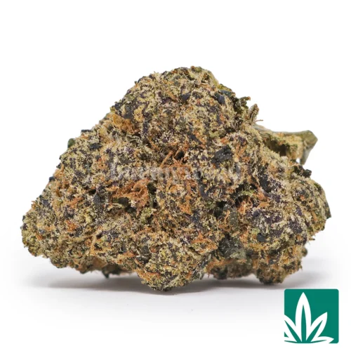 Bubblegum Gelato Strain - 1