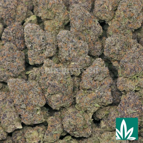 Cali Pink Runtz Strain - 2