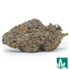 Cali Pink Runtz Strain - 1