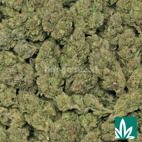 Value Candy Gas Strain - 2