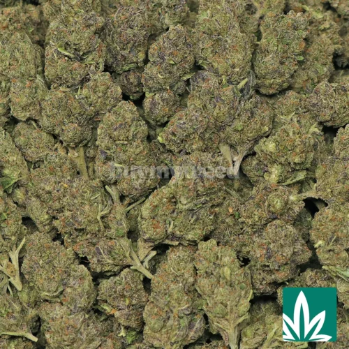 Candy Runtz Strain - 2
