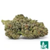 Candy Runtz Strain - 1