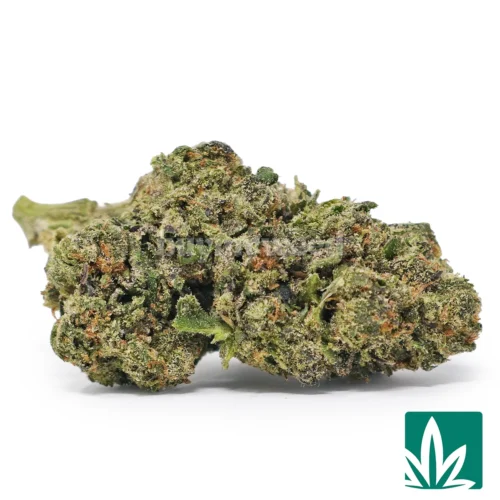 Candy Runtz Strain - 1