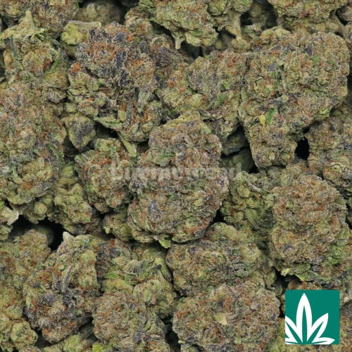 Candy Vuitton Strain - 2