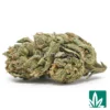 Cherry Fritters Strain - 1