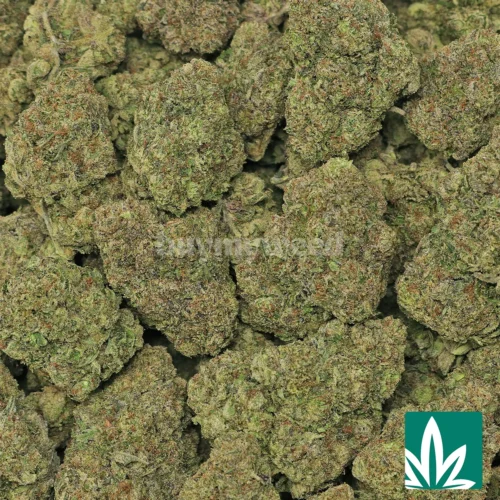 Cherry Hulkz Strain - 2