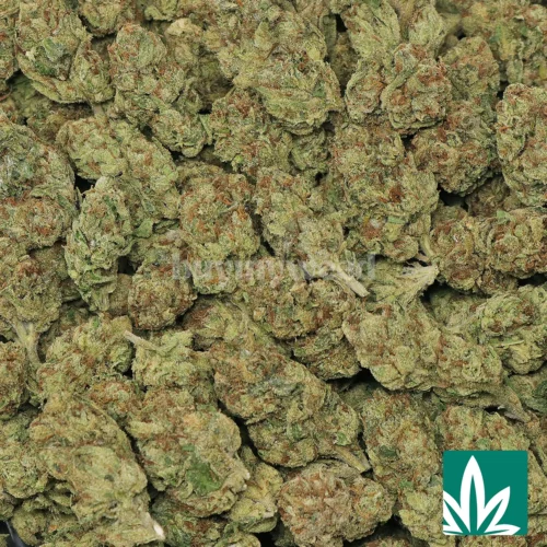 Cherry Runtz Strain - 2