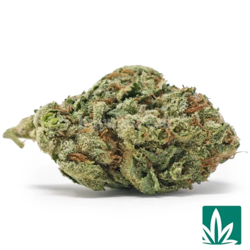 Cherry Runtz Strain - 1