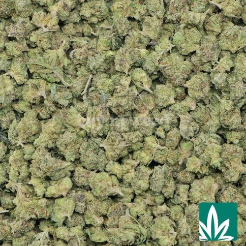 Face Off 'Smalls' Strain - 2