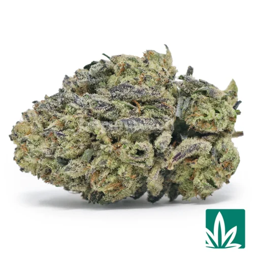Frosted Cookies Strain - 1