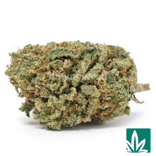 Gelato 'Mediums' Strain - 1