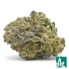 GMO Cookies Strain - 1