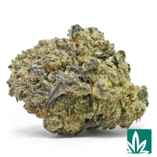 GMO Cookies Strain - 1