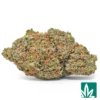 Gumbo Strain - 1