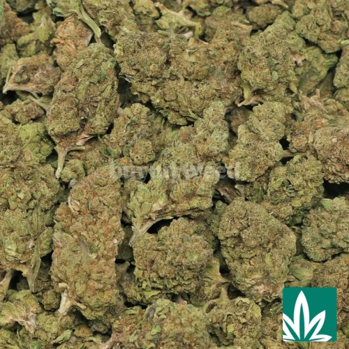 Headband Strain - 2