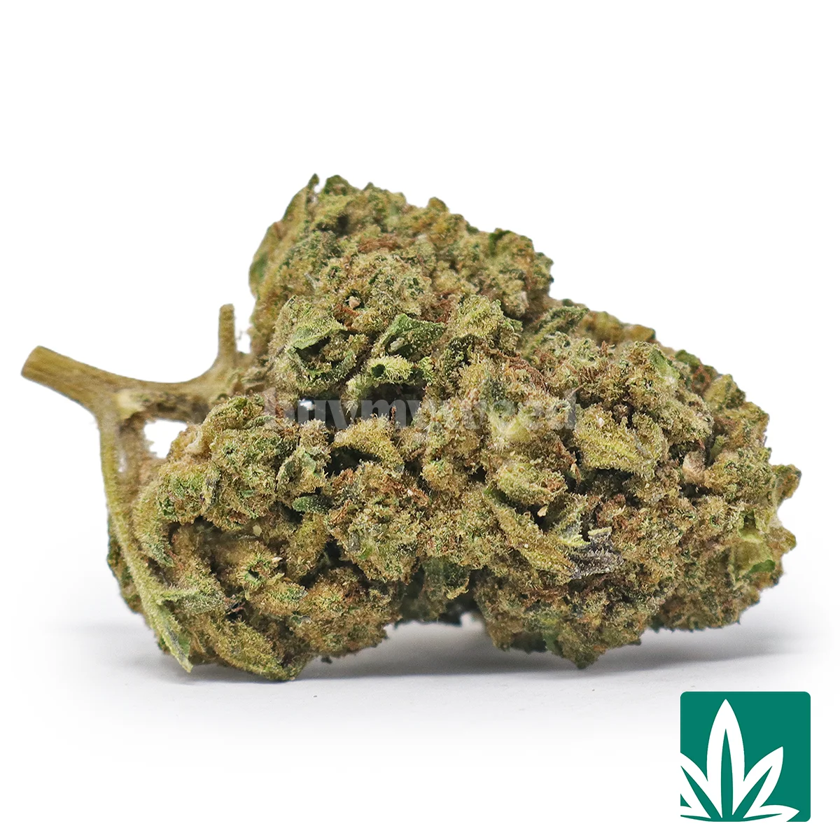 Headband Strain - 1
