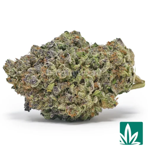 Ice Cream Cake Strain - 1