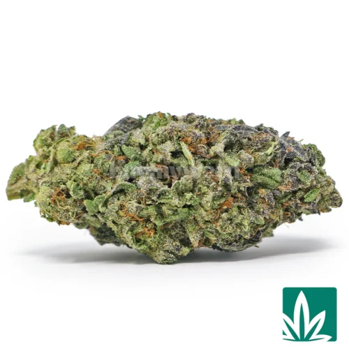 Key Lime Pie Strain - 1