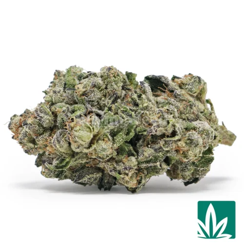 Kush Mintz Strain - 1