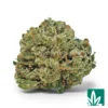 Legend OG 'Smalls' Strain - 1