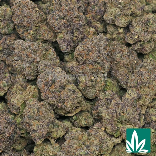 Lipsmackerz Strain - 2