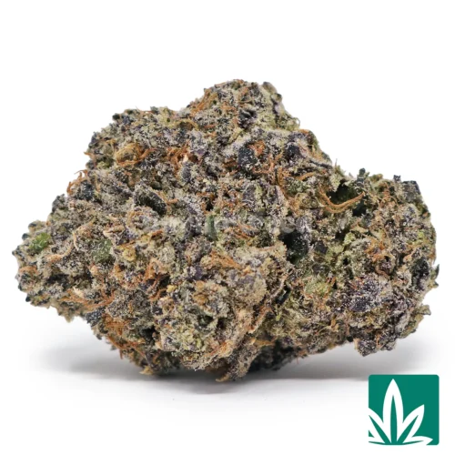 Lipsmackerz Strain - 1